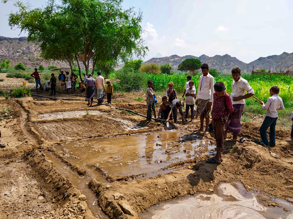 Yemen Agriculture